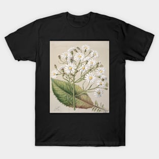 Senecio Hectori, by Sarah Featon T-Shirt